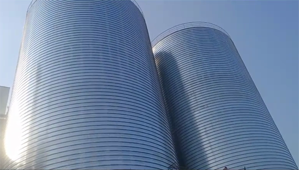 榆林2座混凝土高架卷板仓